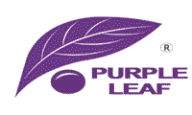 Purple Leaf Discount Code, Promo Code PurpleLeaf